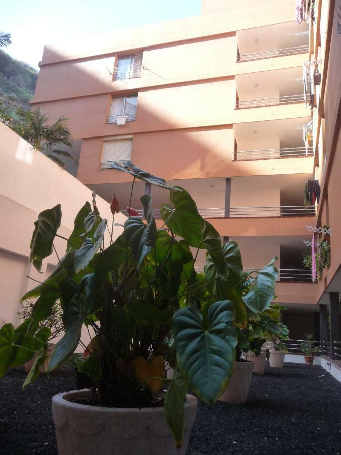 Martianez Apartment Puerto de la Cruz  Exterior photo